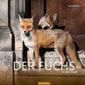 Der Fuchs in der Stadt