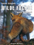 Wilde Fchse - ganz vertraut